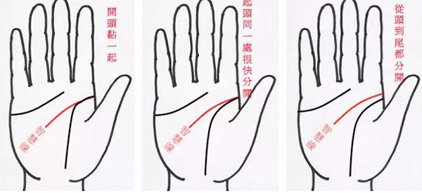 手相的5大線條應該怎麼看？